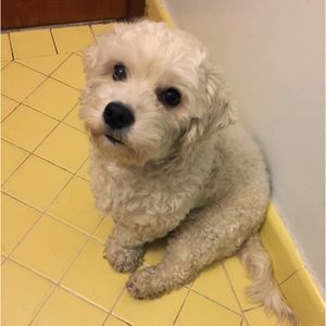 Meet your Posher, Sabrina